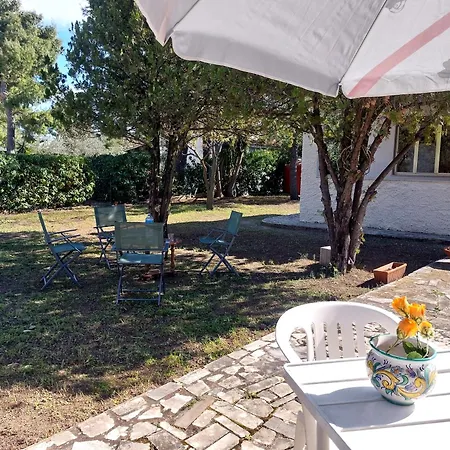 House Close To The - Large Private Garden Holiday home *
