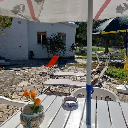House Close To The - Large Private Garden בית נופש